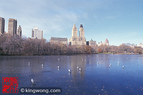 ŦԼ빫԰ New York City Central Park