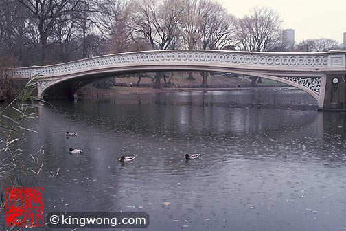 纽约市中央公园 New York City Central Park
