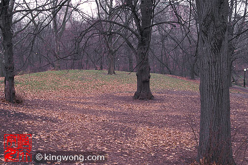 ŦԼ빫԰ New York City Central Park