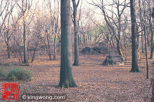 纽约市中央公园 New York City Central Park