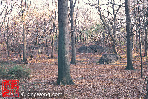 ŦԼ빫԰ New York City Central Park