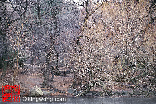 ŦԼ빫԰ New York City Central Park