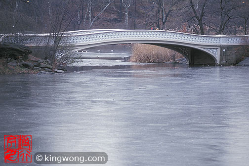 ŦԼ빫԰ New York City Central Park