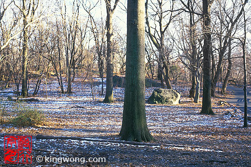 ŦԼ빫԰ New York City Central Park