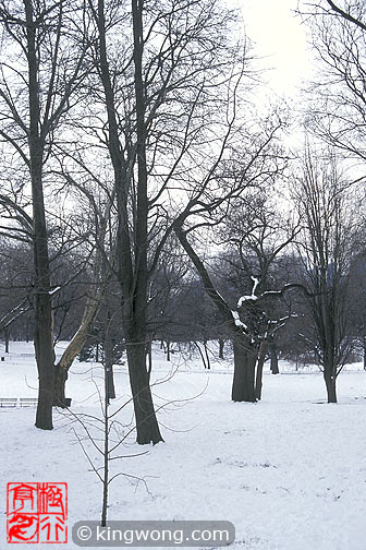 ŦԼ빫԰ New York City Central Park