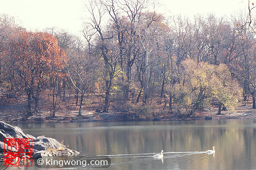 ŦԼ빫԰ New York City Central Park