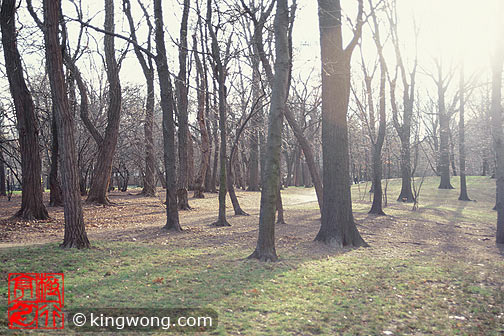 ŦԼ빫԰ New York City Central Park