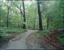 Picture of ŦԼ빫԰ New York City Central Park