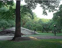 Picture of ŦԼ빫԰ New York City Central Park