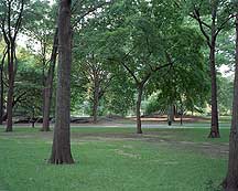 Picture of ŦԼ빫԰ New York City Central Park