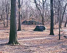 Picture of ŦԼ빫԰ New York City Central Park