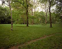 New York City Central Park,CentralPark