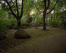 New York City Central Park,CentralPark