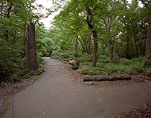 Picture of ŦԼ빫԰ New York City Central Park