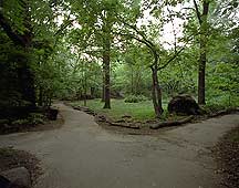 New York City Central Park,CentralPark