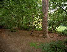 Picture of 纽约市中央公园 New York City Central Park