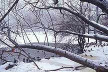 Picture of ŦԼ빫԰ New York City Central Park