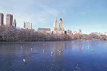 Picture of ŦԼ빫԰ New York City Central Park