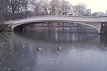 Picture of ŦԼ빫԰ New York City Central Park