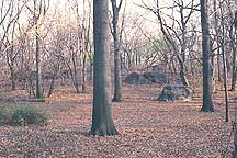 Picture of ŦԼ빫԰ New York City Central Park