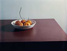 Composition,Still Life