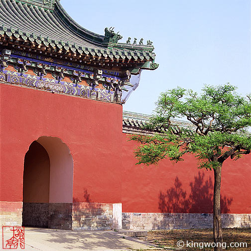 天坛公园 Tiantan (Temple of Heaven) Park