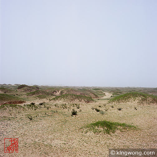 ߺγ֮Ŷǣ Great Wall and Sand Dunes near Dingbian