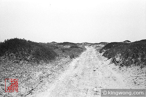 ߺγ֮Ŷǣ Great Wall and Sand Dunes near Dingbian