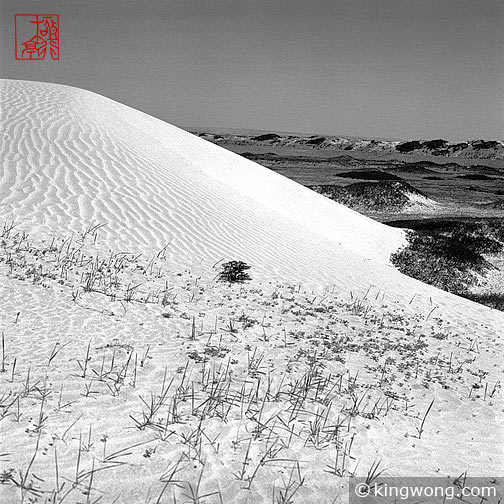 ߺγ֮Ŷǣ Great Wall and Sand Dunes near Dingbian