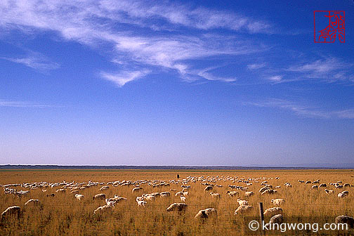  Hami City to Jiayuguan Fortress