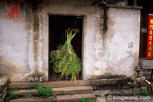  Anhui's Yuliang Old Street