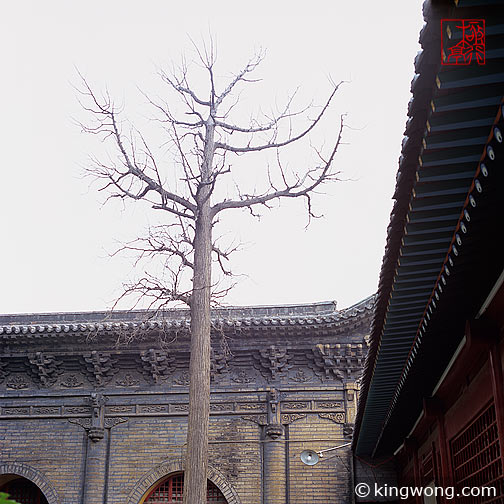 ̫ԭ ˫ Taiyuan City - Twin Pagoda