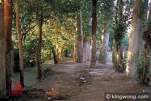 ³  Turpan Erbaoxiang village