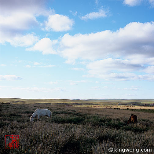 ϣʲԭ Xilamuren Grassland