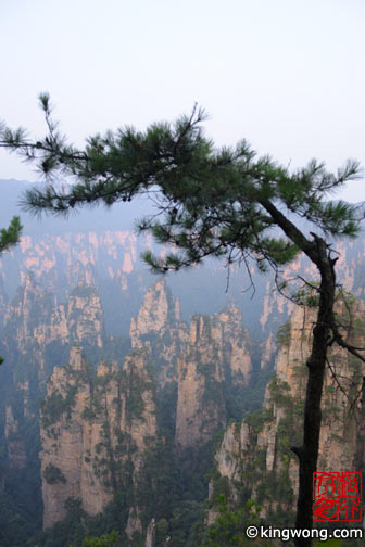 天子山 Tianzi Mountains