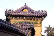 Picture of ̳԰ Tiantan (Temple of Heaven) Park