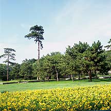 Picture of е ɽׯ Chengde - Imperial Summer Villa