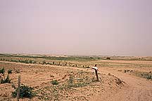 Picture of ߺγ֮Ŷǣ Great Wall and Sand Dunes near Dingbian