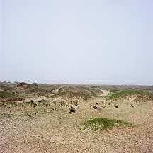 Great Wall and Sand Dunes near Dingbian,Sample2006