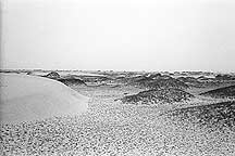 Picture of ߺγ֮Ŷǣ Great Wall and Sand Dunes near Dingbian