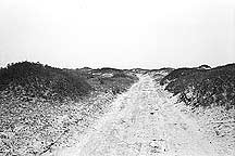 Picture of ߺγ֮Ŷǣ Great Wall and Sand Dunes near Dingbian