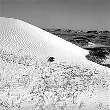 Picture of ߺγ֮Ŷǣ Great Wall and Sand Dunes near Dingbian