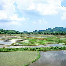 Duhu, Guangdong Province,Sample2006