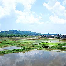 Duhu, Guangdong Province,Sample2006