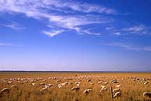 Hami City to Jiayuguan Fortress,Sample2006