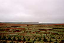 Hohhot to Xilamuren Grassland,Sample2006