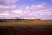 Hohhot to Xilamuren Grassland,Sample2006