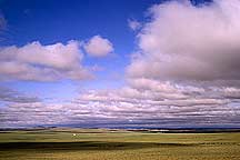 Hohhot to Xilamuren Grassland,Sample2006