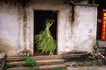 Anhui's Yuliang Old Street,Sample2006