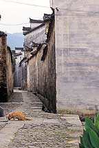 Anhui's Guanlu village,Sample2006